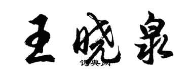 胡问遂王晓泉行书个性签名怎么写