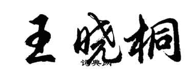胡问遂王晓桐行书个性签名怎么写