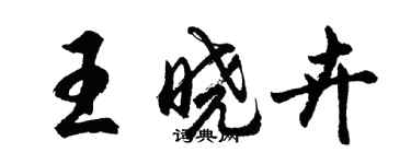 胡问遂王晓卉行书个性签名怎么写