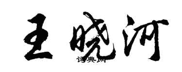 胡问遂王晓河行书个性签名怎么写