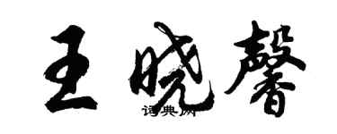 胡问遂王晓馨行书个性签名怎么写