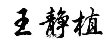 胡问遂王静植行书个性签名怎么写