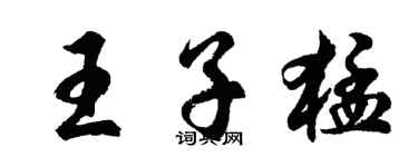 胡问遂王子猛行书个性签名怎么写