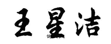 胡问遂王星洁行书个性签名怎么写