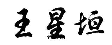 胡问遂王星垣行书个性签名怎么写