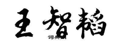 胡问遂王智韬行书个性签名怎么写