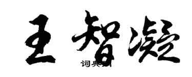 胡问遂王智凝行书个性签名怎么写