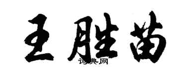 胡问遂王胜苗行书个性签名怎么写