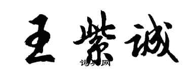 胡问遂王紫诚行书个性签名怎么写