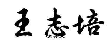 胡问遂王志培行书个性签名怎么写