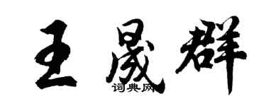 胡问遂王晟群行书个性签名怎么写