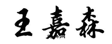 胡问遂王嘉森行书个性签名怎么写