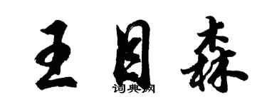 胡问遂王目森行书个性签名怎么写