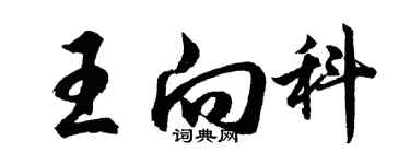 胡问遂王向科行书个性签名怎么写