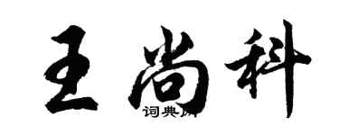 胡问遂王尚科行书个性签名怎么写