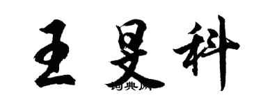 胡问遂王旻科行书个性签名怎么写