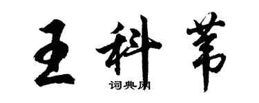 胡问遂王科苇行书个性签名怎么写