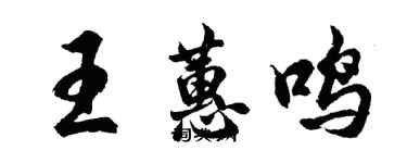 胡问遂王蕙鸣行书个性签名怎么写