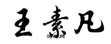 胡问遂王素凡行书个性签名怎么写