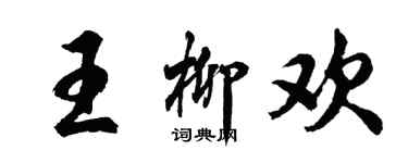 胡问遂王柳欢行书个性签名怎么写