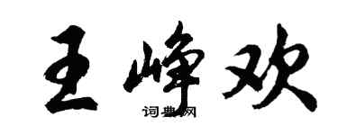 胡问遂王峥欢行书个性签名怎么写
