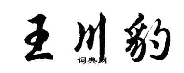 胡问遂王川豹行书个性签名怎么写