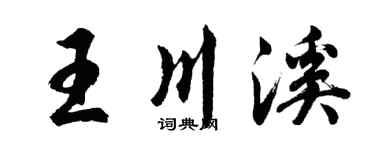 胡问遂王川溪行书个性签名怎么写