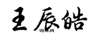 胡问遂王辰皓行书个性签名怎么写