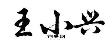 胡问遂王小兴行书个性签名怎么写