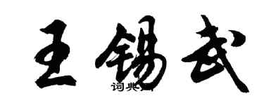 胡问遂王锡武行书个性签名怎么写