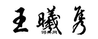 胡问遂王曦隽行书个性签名怎么写
