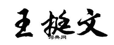 胡问遂王挺文行书个性签名怎么写