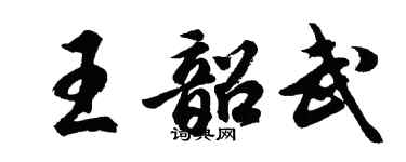 胡问遂王韶武行书个性签名怎么写