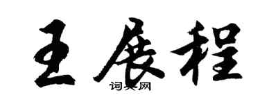 胡问遂王展程行书个性签名怎么写