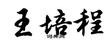 胡问遂王培程行书个性签名怎么写