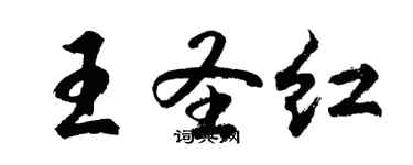 胡问遂王圣红行书个性签名怎么写