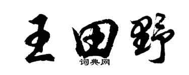 胡问遂王田野行书个性签名怎么写
