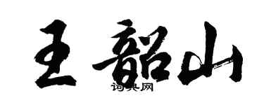 胡问遂王韶山行书个性签名怎么写