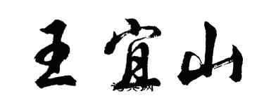 胡问遂王宜山行书个性签名怎么写