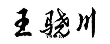 胡问遂王骁川行书个性签名怎么写