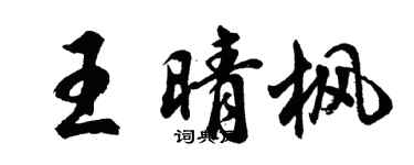 胡问遂王晴枫行书个性签名怎么写