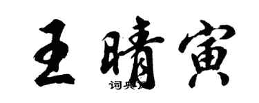 胡问遂王晴寅行书个性签名怎么写