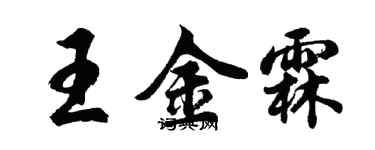 胡问遂王金霖行书个性签名怎么写