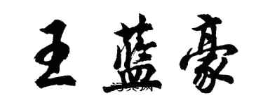 胡问遂王蓝豪行书个性签名怎么写