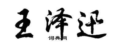 胡问遂王泽迅行书个性签名怎么写