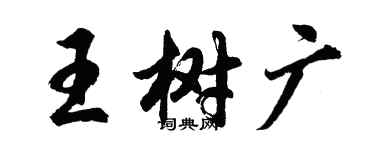 胡问遂王树广行书个性签名怎么写