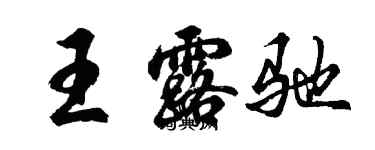 胡问遂王露驰行书个性签名怎么写