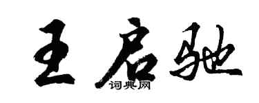 胡问遂王启驰行书个性签名怎么写