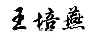 胡问遂王培燕行书个性签名怎么写