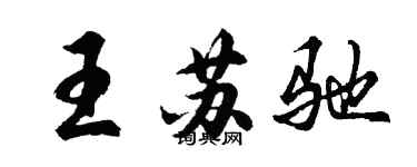 胡问遂王苏驰行书个性签名怎么写